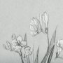 14536 - Botanical sketches III (Grey) by Mercana Studio Hand Embellished Framed Art Print Matted under Glass