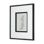 14537 - Botanical sketches IV (Grey) by Mercana Studio Hand Embellished Framed Art Print Matted under Glass