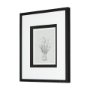 14539 - Botanical sketches VI (Grey) by Mercana Studio Hand Embellished Framed Art Print Matted under Glass