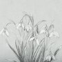 14539 - Botanical sketches VI (Grey) by Mercana Studio Hand Embellished Framed Art Print Matted under Glass