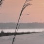 14542 - Seashore Sunset by Mercana Studio a Framed Photo Art Print Matted under Glass