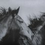 14545 - Focused by Mercana Studio a Hand Embellished Textured Framed Photo Art Print Matted under Glass