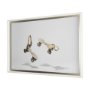 14556 - Vintage Roller Skates II by Natalia a Framed Art Print Matted under Glass