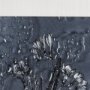 14567 - Botanical sketches III (Blue) by Mercana Studio Hand Embellished Framed Art Print Matted under Glass