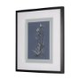14572 - Botanical sketches IV (Blue) by Mercana Studio Hand Embellished Framed Art Print Matted under Glass