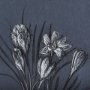 14573 - Botanical sketches V (Blue) by Mercana Studio Hand Embellished Framed Art Print Matted under Glass