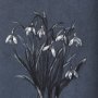 14574 - Botanical sketchesVI (Blue) by Mercana Studio Hand Embellished Framed Art Print Matted under Glass