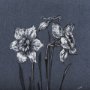 14576 - Botanical sketches II (Blue) by Mercana Studio Hand Embellished Framed Art Print Matted under Glass