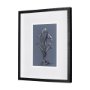 14577 - Botanical sketches III (Blue) by Mercana Studio Hand Embellished Framed Art Print Matted under Glass