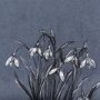 14580 - Botanical sketchesVI (Blue) by Mercana Studio Hand Embellished Framed Art Print Matted under Glass