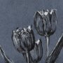14581 - Botanical sketches I (Blue) by Mercana Studio Hand Embellished Framed Art Print Matted under Glass