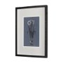 14582 - Botanical sketches I (Blue) by Mercana Studio Hand Embellished Framed Art Print Matted under Glass