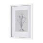 14588 - Botanical sketches III (Grey) by Mercana Studio Hand Embellished Framed Art Print Matted under Glass