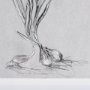 14588 - Botanical sketches III (Grey) by Mercana Studio Hand Embellished Framed Art Print Matted under Glass