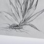 14589 - Botanical sketches IV (Grey) by Mercana Studio Hand Embellished Framed Art Print Matted under Glass
