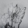 14589 - Botanical sketches IV (Grey) by Mercana Studio Hand Embellished Framed Art Print Matted under Glass