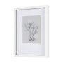 14590 - Botanical sketches V (Grey) by Mercana Studio Hand Embellished Framed Art Print Matted under Glass