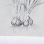 14590 - Botanical sketches V (Grey) by Mercana Studio Hand Embellished Framed Art Print Matted under Glass