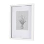 14591 - Botanical sketches VI (Grey) by Mercana Studio Hand Embellished Framed Art Print Matted under Glass