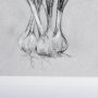 14591 - Botanical sketches VI (Grey) by Mercana Studio Hand Embellished Framed Art Print Matted under Glass