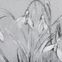 14591 - Botanical sketches VI (Grey) by Mercana Studio Hand Embellished Framed Art Print Matted under Glass