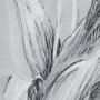 14592 - Botanical sketches I (Grey) by Mercana Studio Hand Embellished Framed Art Print Matted under Glass