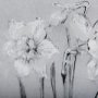 14593 - Botanical sketches II (Grey) by Mercana Studio Hand Embellished Framed Art Print Matted under Glass