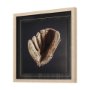 14626 - Pop Fly I  by Mercana Studio a Hand Embellished Textured Framed Photo Art Print Matted under Glass