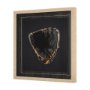 14630 - Pop Fly V  by Mercana Studio a Hand Embellished Textured Framed Photo Art Print Matted under Glass