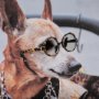 14640 - Clever Canines by Mercana Studio a Hand Embellished Textured Framed Photo Art Print Matted under Gla
