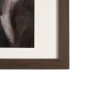 14642 - Running Wild - Quick by Mercana Studio Hand Embellished Textured Framed Art Print Matted under Glass