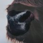 14643 - Stark Still-Gaze by Mercana Studio a Hand Embellished Textured Framed Photo Art Print Matted under G