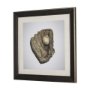 14660 - Double Play I by Mercana Studio a Hand Embellished Textured Framed Photo Art Print Matted under Glas