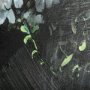 102149-L - Still life flowers I by Mercana Studio a Hand Embellished Textured Canvas