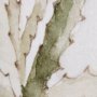 102321-L - Cactus I by Mercana Studio a Hand Embellished Textured Canvas