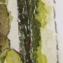 102322-S - cactus II by Mercana Studio a Hand Embellished Textured Canvas