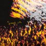 102342-L - Largemouth Bass Orange by Mercana Studio a Hand Embellished Textured Canvas
