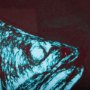 102343-S - Largemouth Bass Turquoise by Mercana Studio a Hand Embellished Textured Canvas