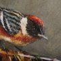 102346-L - Graceful Poise III  (Bay-Breasted Warbler)