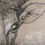 102350-L - Sketch of animal I (Wild sheep) by Mercana Studio a Hand Embellished Textured Canvas