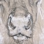 102351-S - Sketch of animal II (Caribou) by Mercana Studio a Hand Embellished Textured Canvas