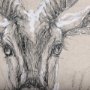 102352-S - Sketch of animal III (Antelope) by Mercana Studio a Hand Embellished Textured Canvas
