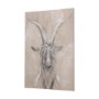102354-S - Sketch of animal V (Goat) by Mercana Studio a Hand Embellished Textured Canvas