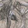 102357-S - Sketch of animal VIII (Highland bull) by Mercana Studio a Hand Embellished Textured Canvas