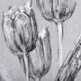 102371-L - Botanical sketches I (Grey) by Mercana Studio a Hand Embellished Textured Canvas
