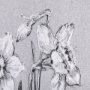 102372-L - Botanical sketches II (Grey) by Mercana Studio a Hand Embellished Textured Canvas