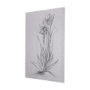 102374-S - Botanical sketches IV (Grey) by Mercana Studio a Hand Embellished Textured Canvas