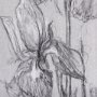 102374-S - Botanical sketches IV (Grey) by Mercana Studio a Hand Embellished Textured Canvas
