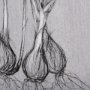 102375-L - Botanical sketches V (Grey) by Mercana Studio a Hand Embellished Textured Canvas