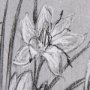 102375-S - Botanical sketches V (Grey) by Mercana Studio a Hand Embellished Textured Canvas